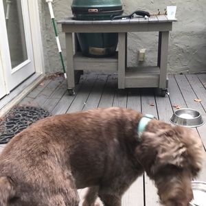 Meet your Posher, Ted